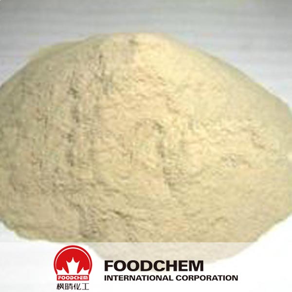 Tamarind Gum Polysaccharide